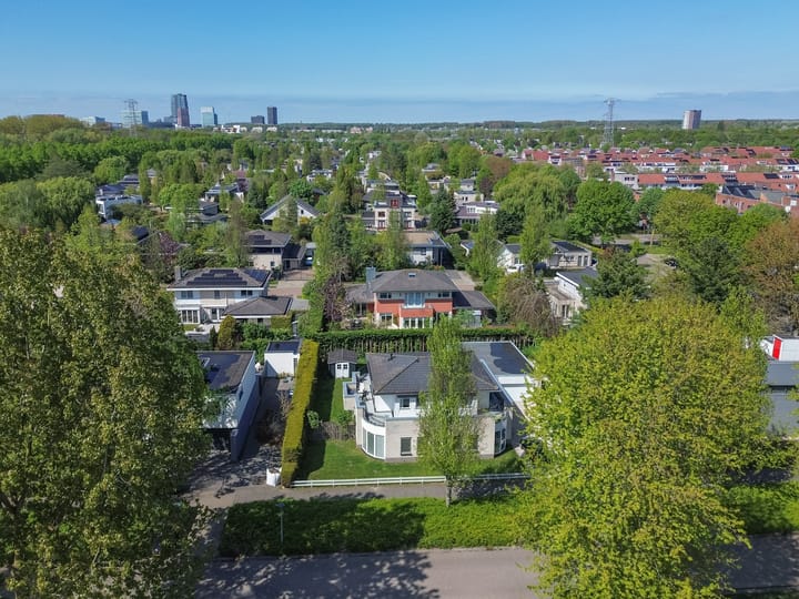 Foto 45 van Louis Chrispijnstraat 13