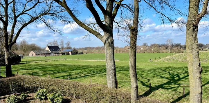 Foto 2 van De Grave - kavel 61