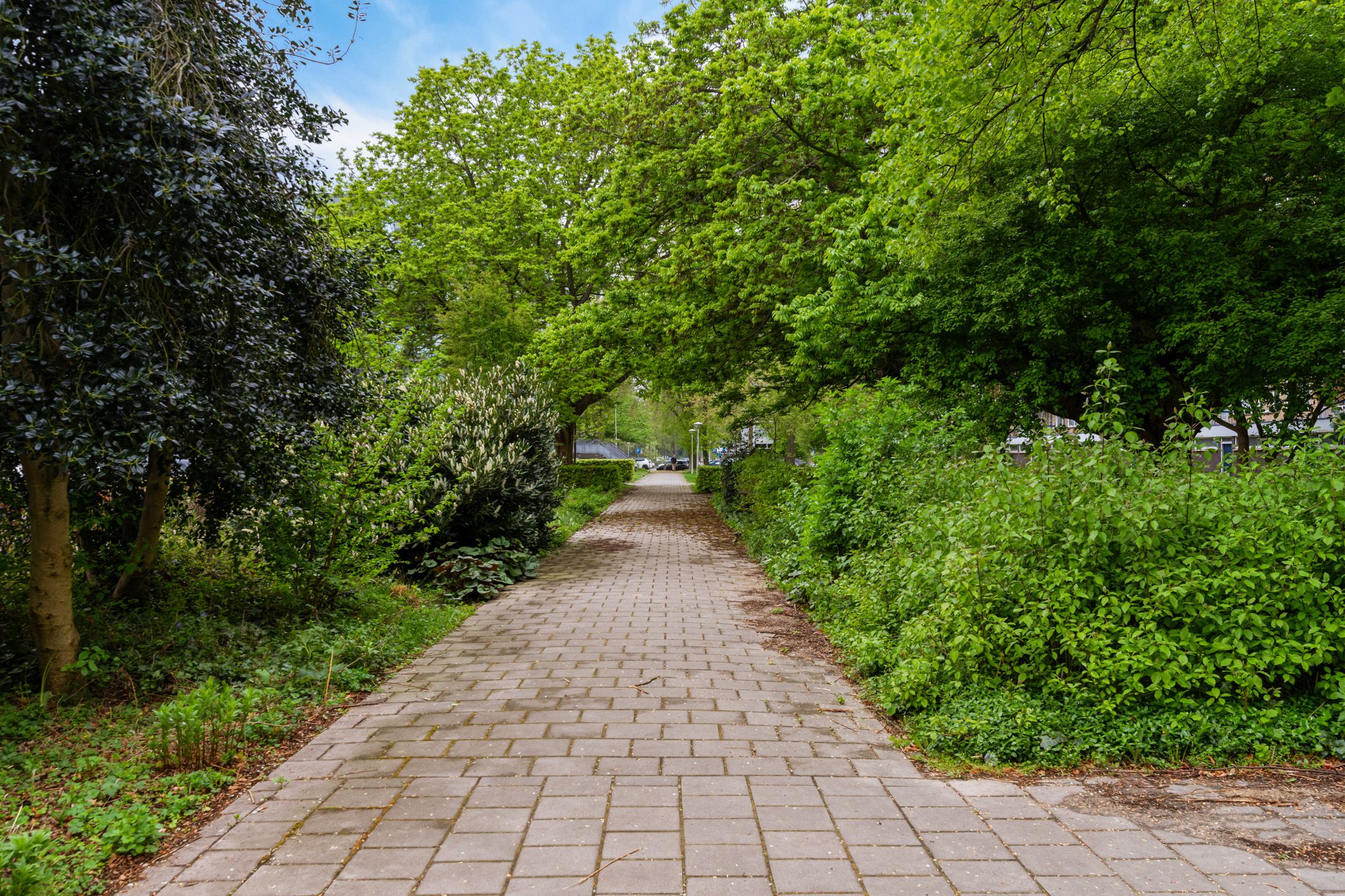 Foto 18 van Van Nijenrodeweg 137