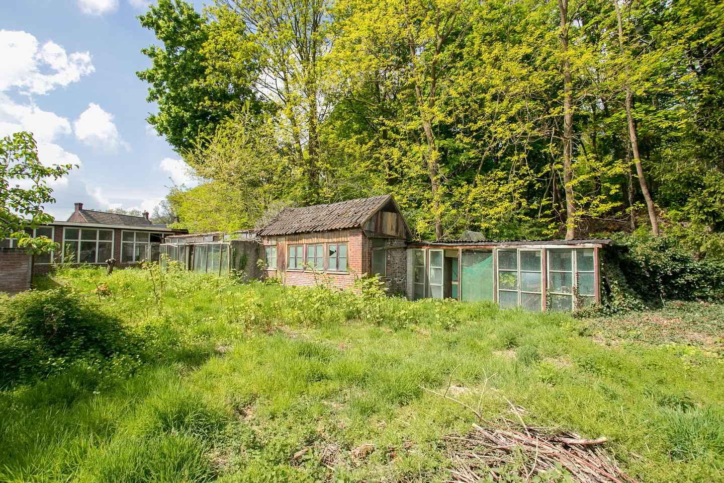 Foto 5 van Arnoldus Janssenstraat 58