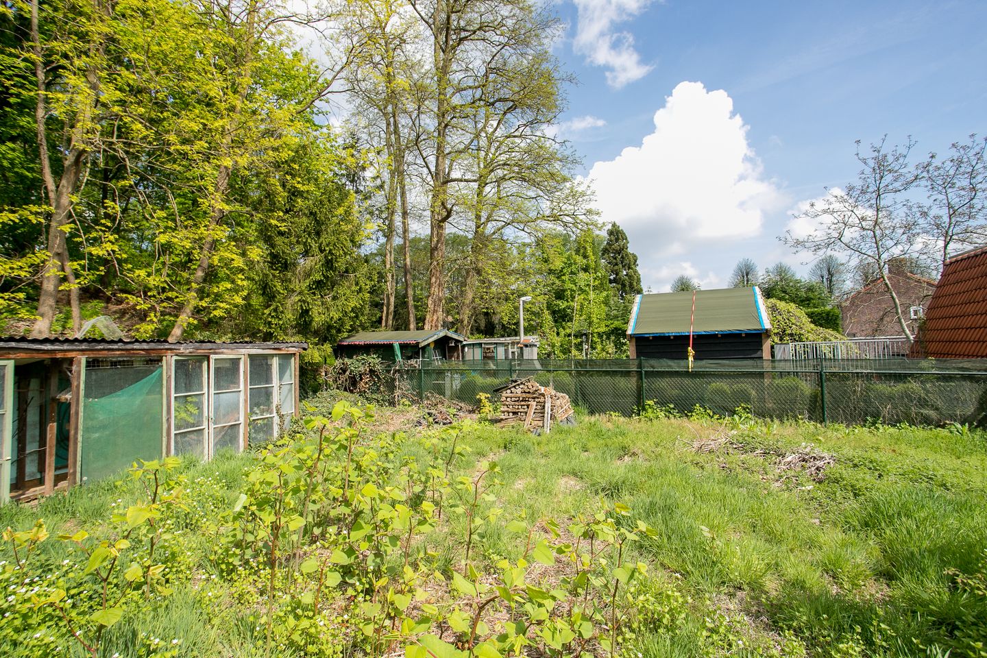 Foto 34 van Arnoldus Janssenstraat 58