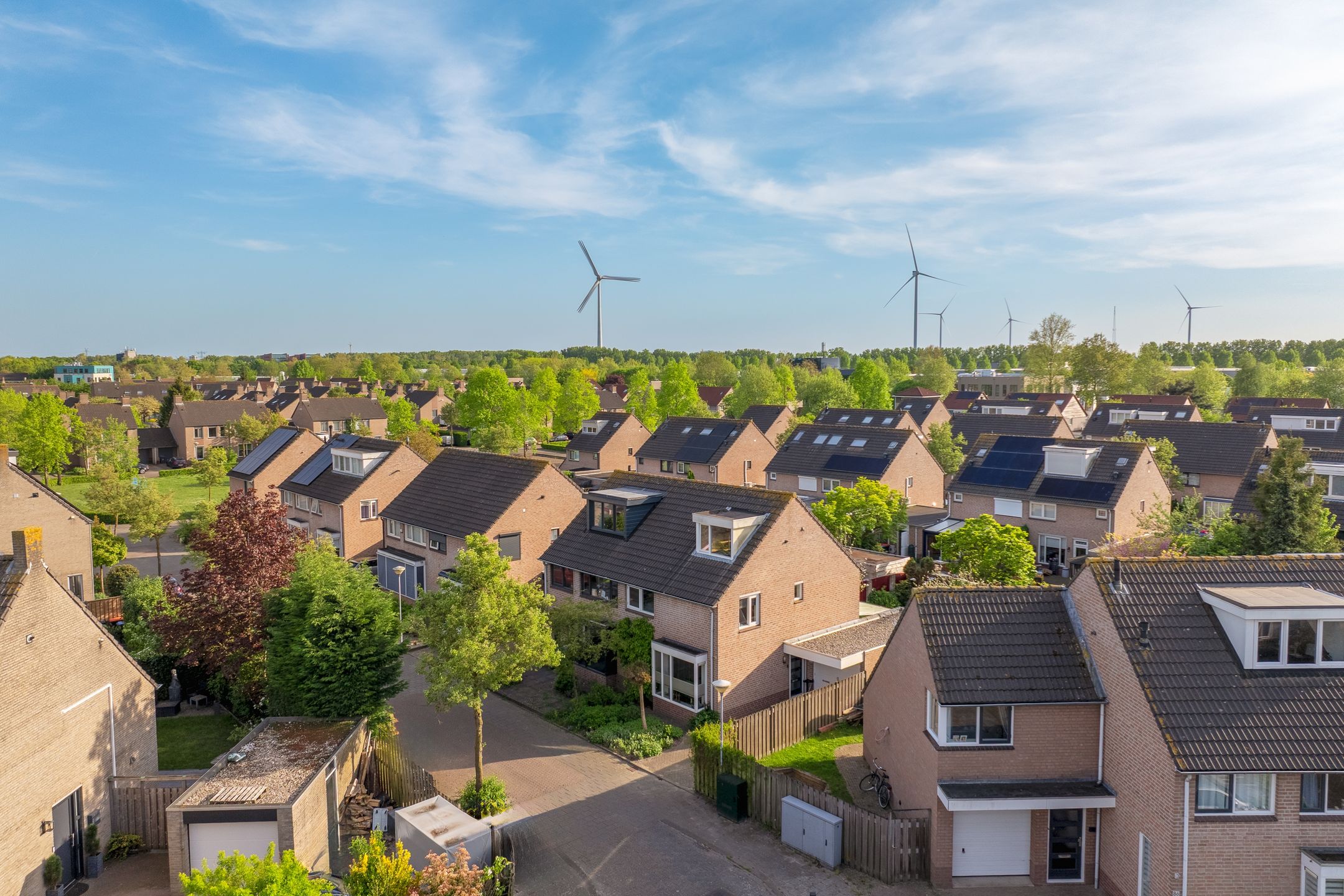 Photo 36 of Dahliavallei 1