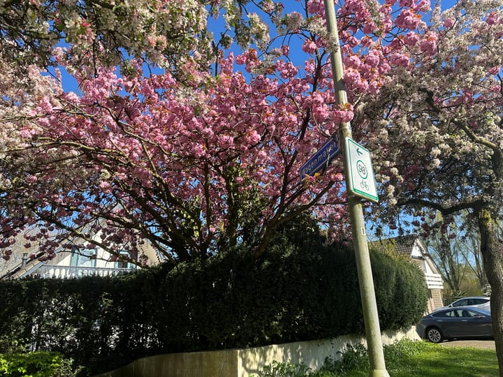 Foto 66 van Wagenmaker 2