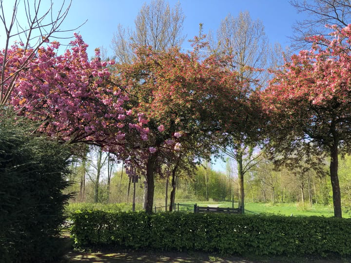 Foto 67 van Wagenmaker 2