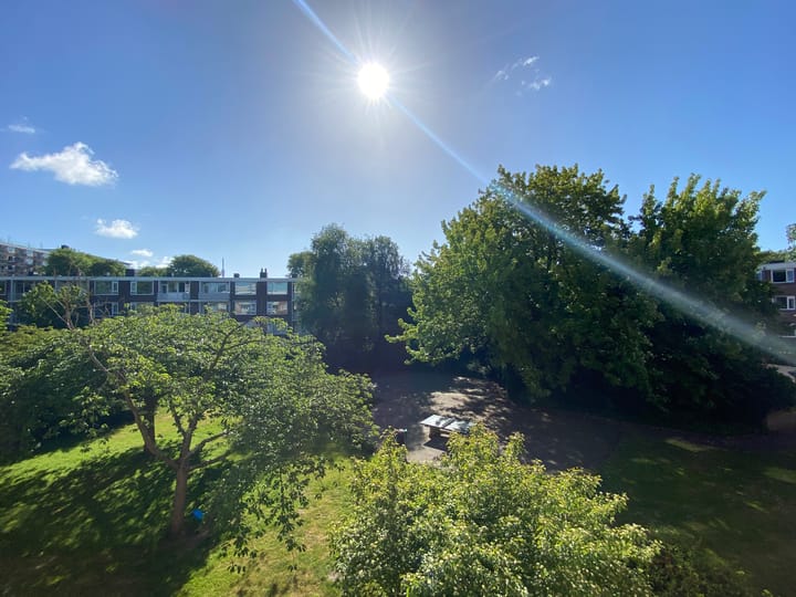 Foto 15 van Ennemaborg 53