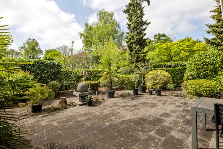 Foto 55 van Meidoornlaan 6