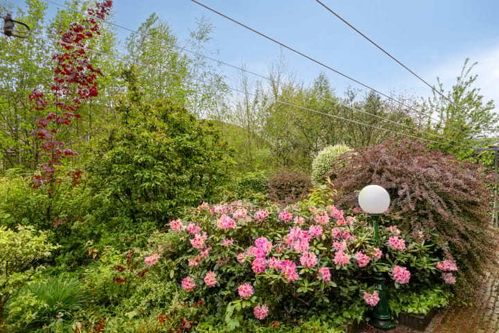 Foto 27 van Bersebastraat 19