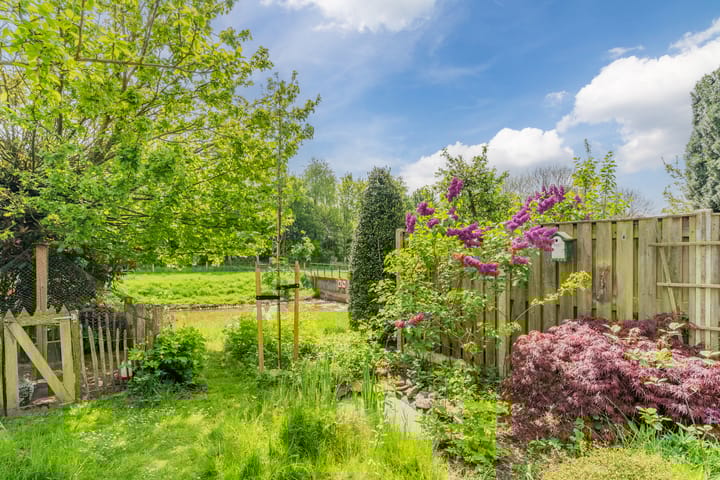 Foto 37 van Olmenpad 21