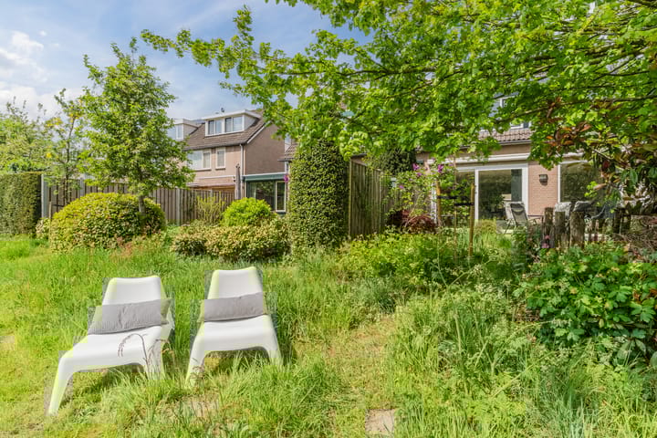 Foto 39 van Olmenpad 21