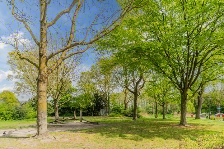 Foto 40 van Olmenpad 21