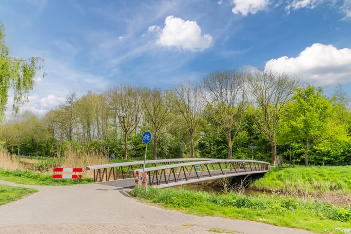 Foto 41 van Olmenpad 21