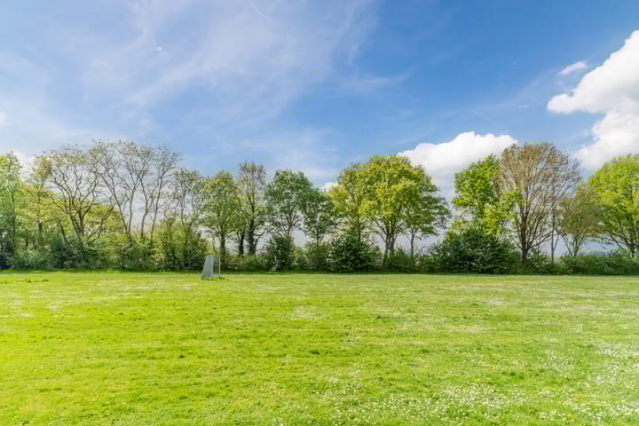 Foto 42 van Olmenpad 21