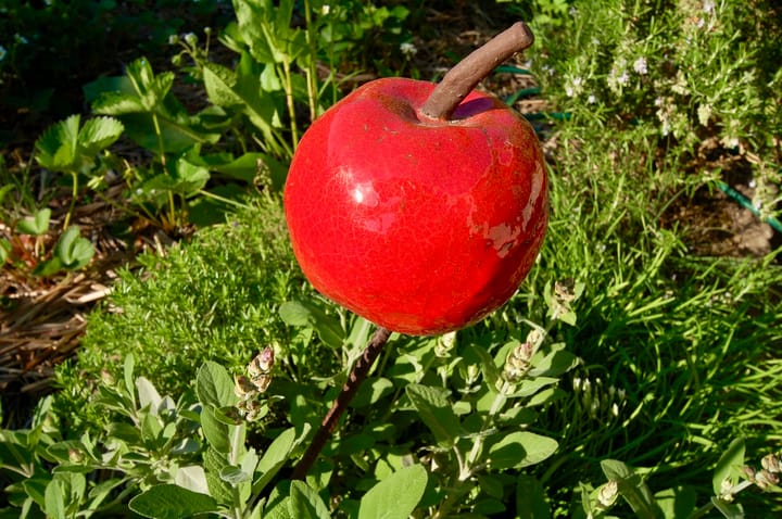 Foto 12 van Apollostraat 12