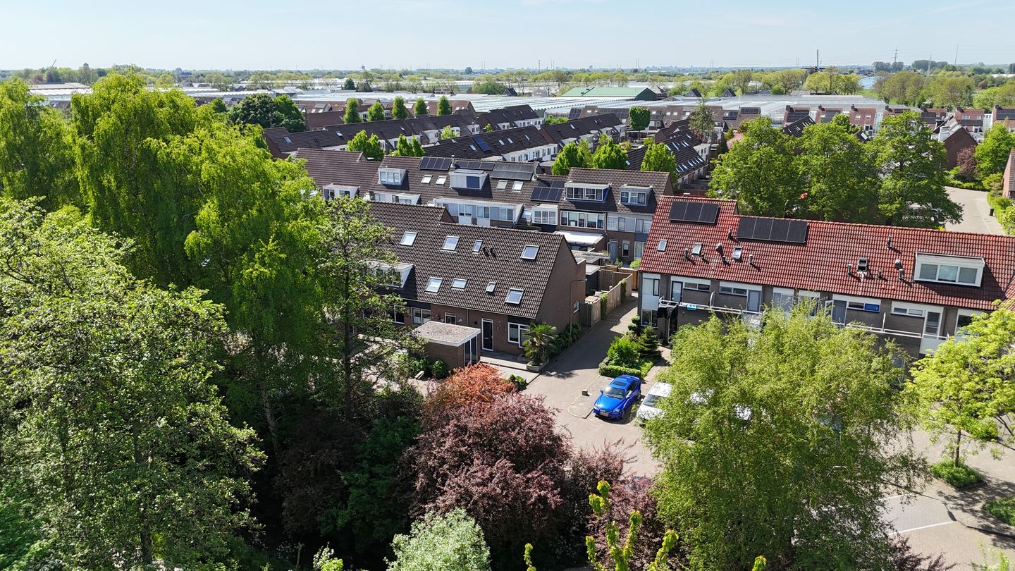 Photo 4 of Pijlkruid 35