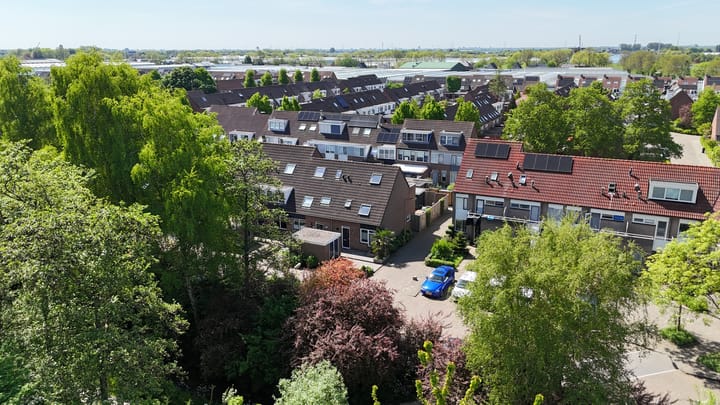 Foto 4 van Pijlkruid 35