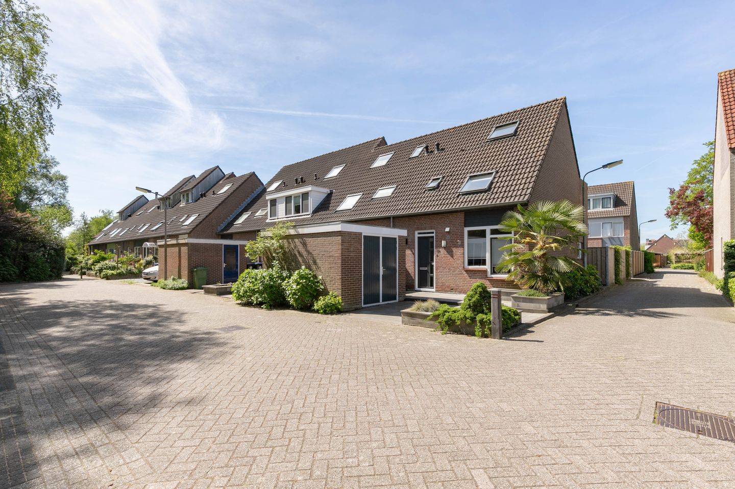 Photo 5 of Pijlkruid 35