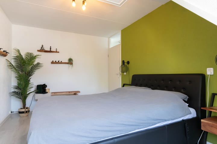 Foto 24 van Pijlkruid 35