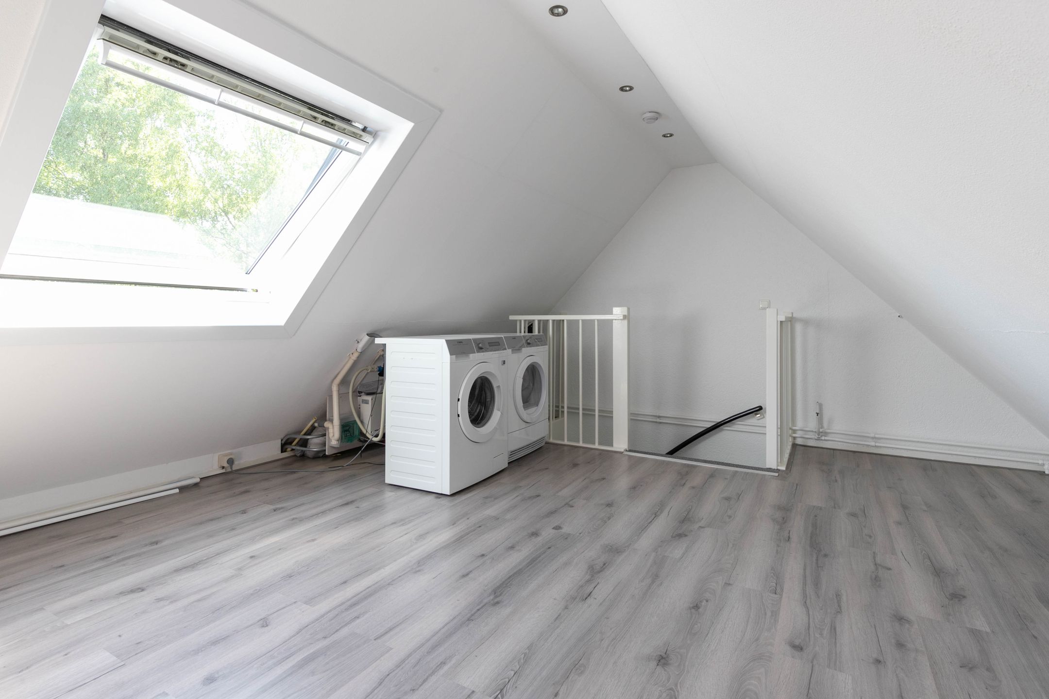 Photo 30 of Pijlkruid 35