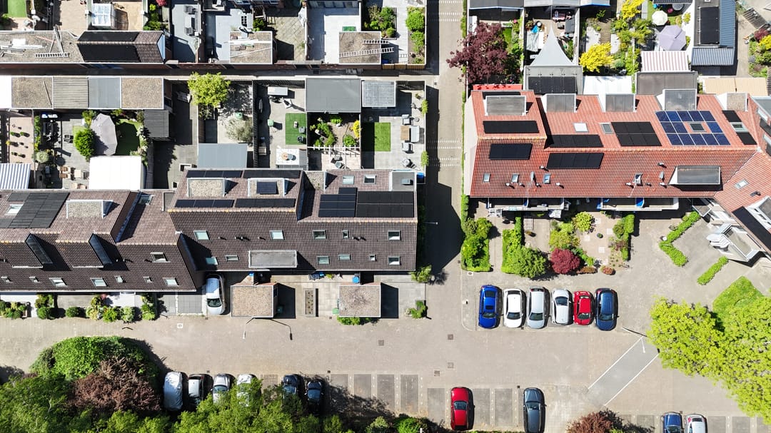 Photo 32 of Pijlkruid 35