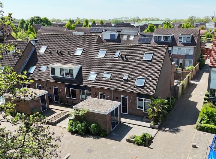 Foto 34 van Pijlkruid 35