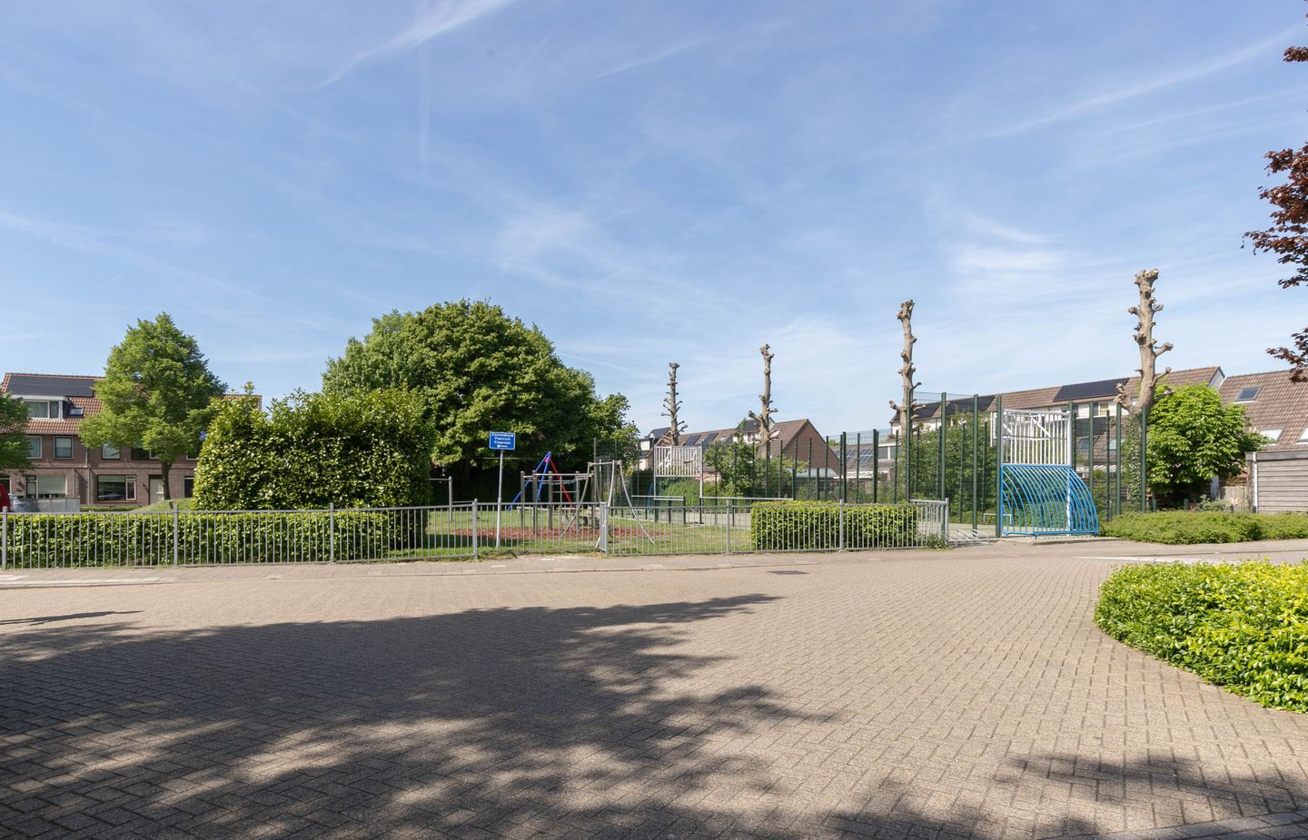 Photo 35 of Pijlkruid 35