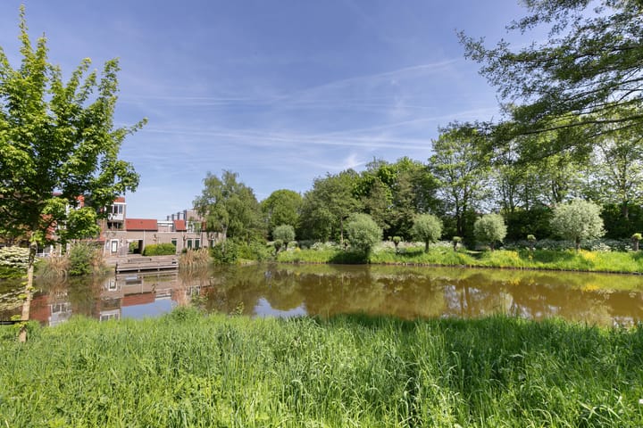 Foto 36 van Pijlkruid 35