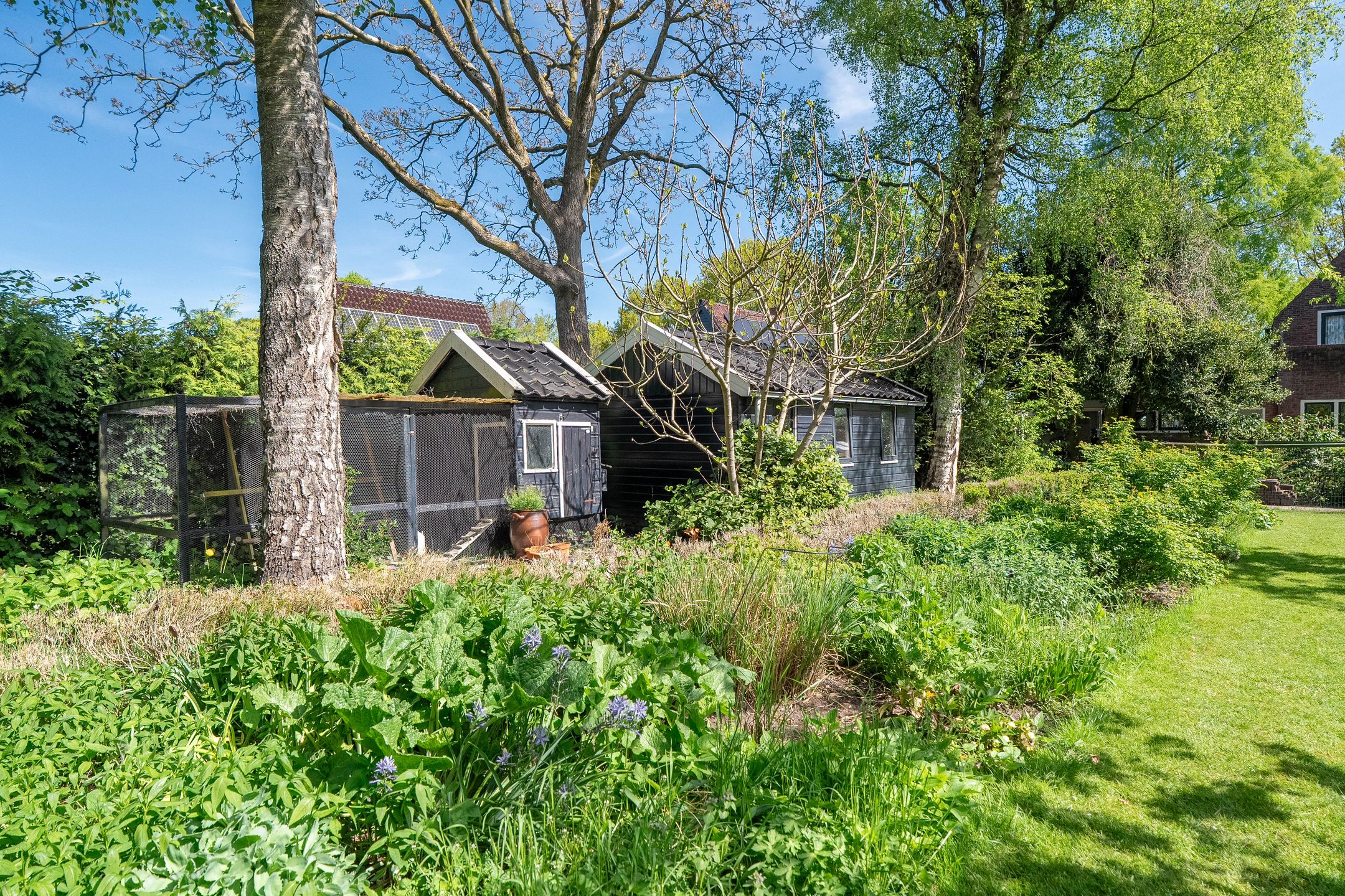 Foto 60 van Groningerstraat 22