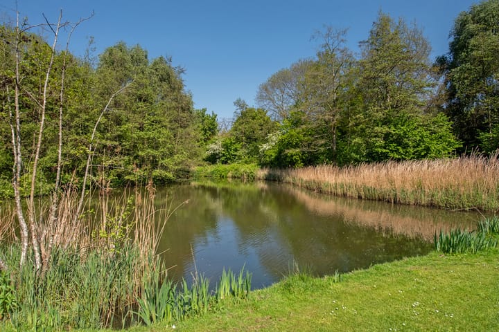 Foto 40 van Van Rijslaan 53