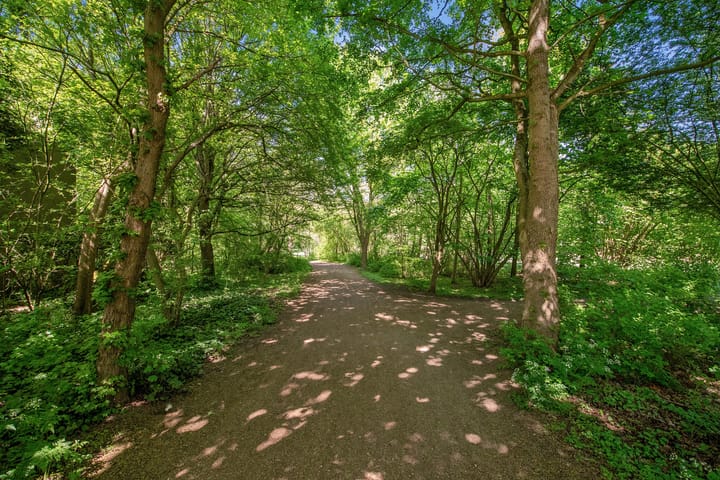 Foto 42 van Van Rijslaan 53