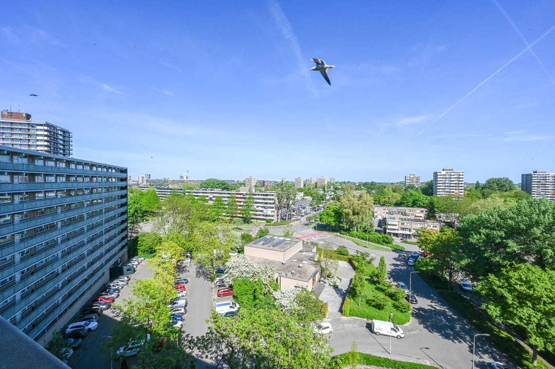 Photo 31 of Stadhoudersring 736