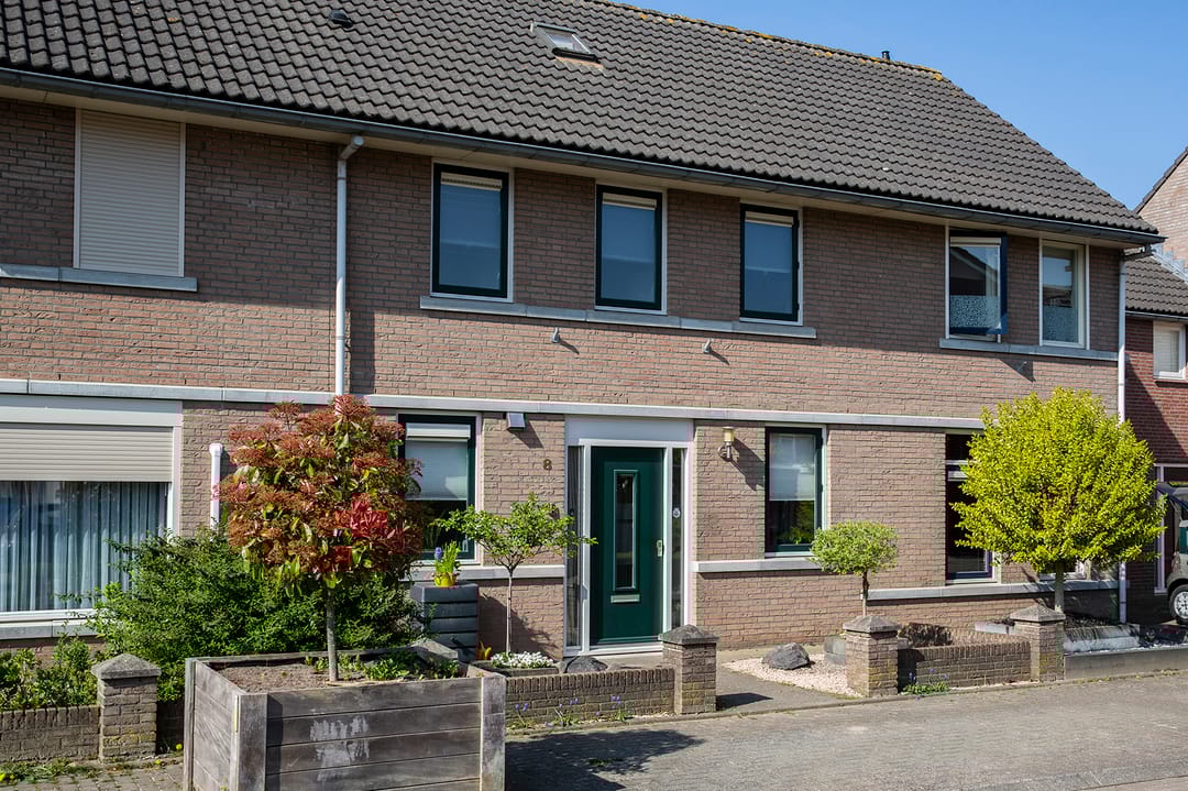 Photo 2 of Wasbloem 8