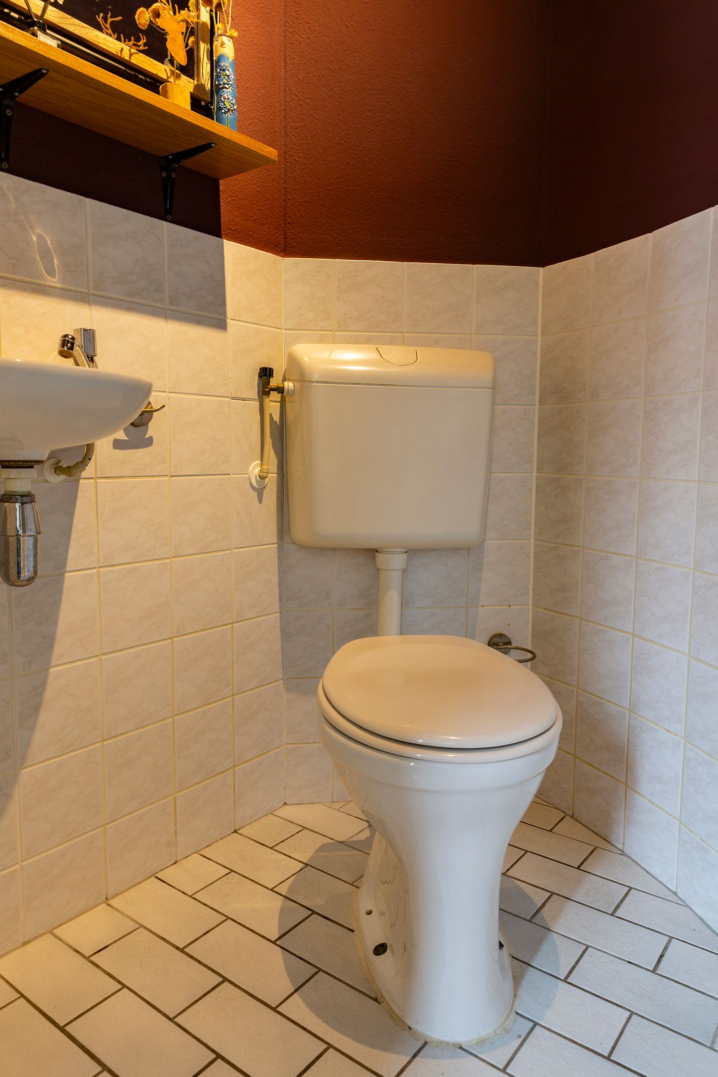 Photo 5 of Wasbloem 8