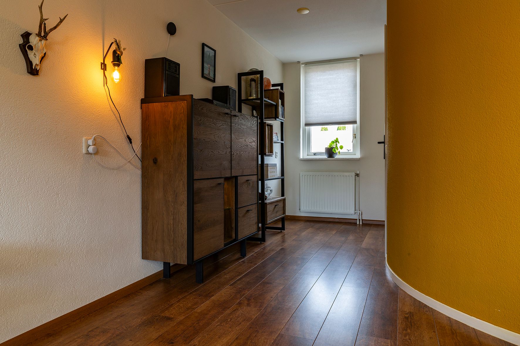 Photo 12 of Wasbloem 8