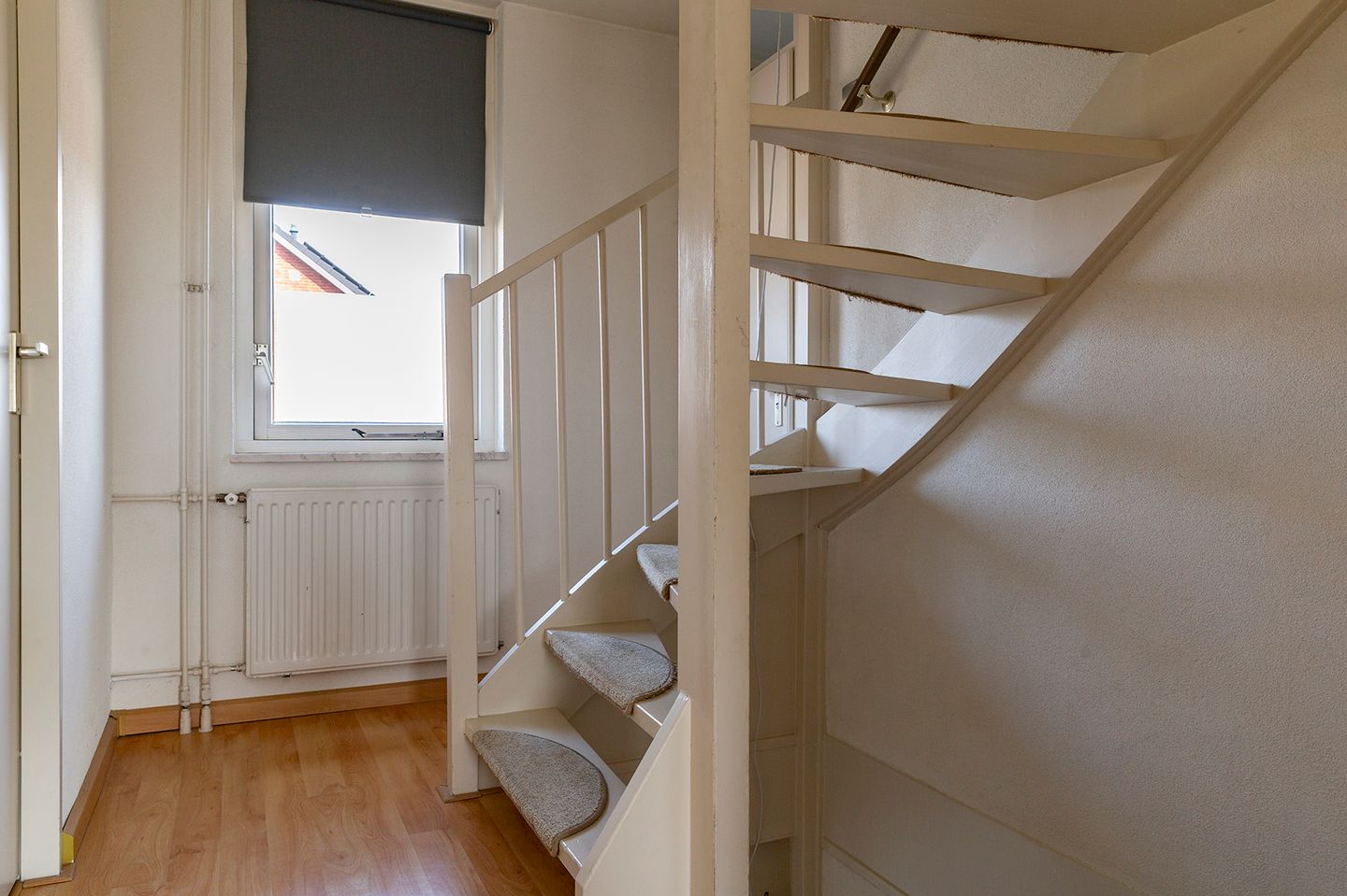 Photo 29 of Wasbloem 8