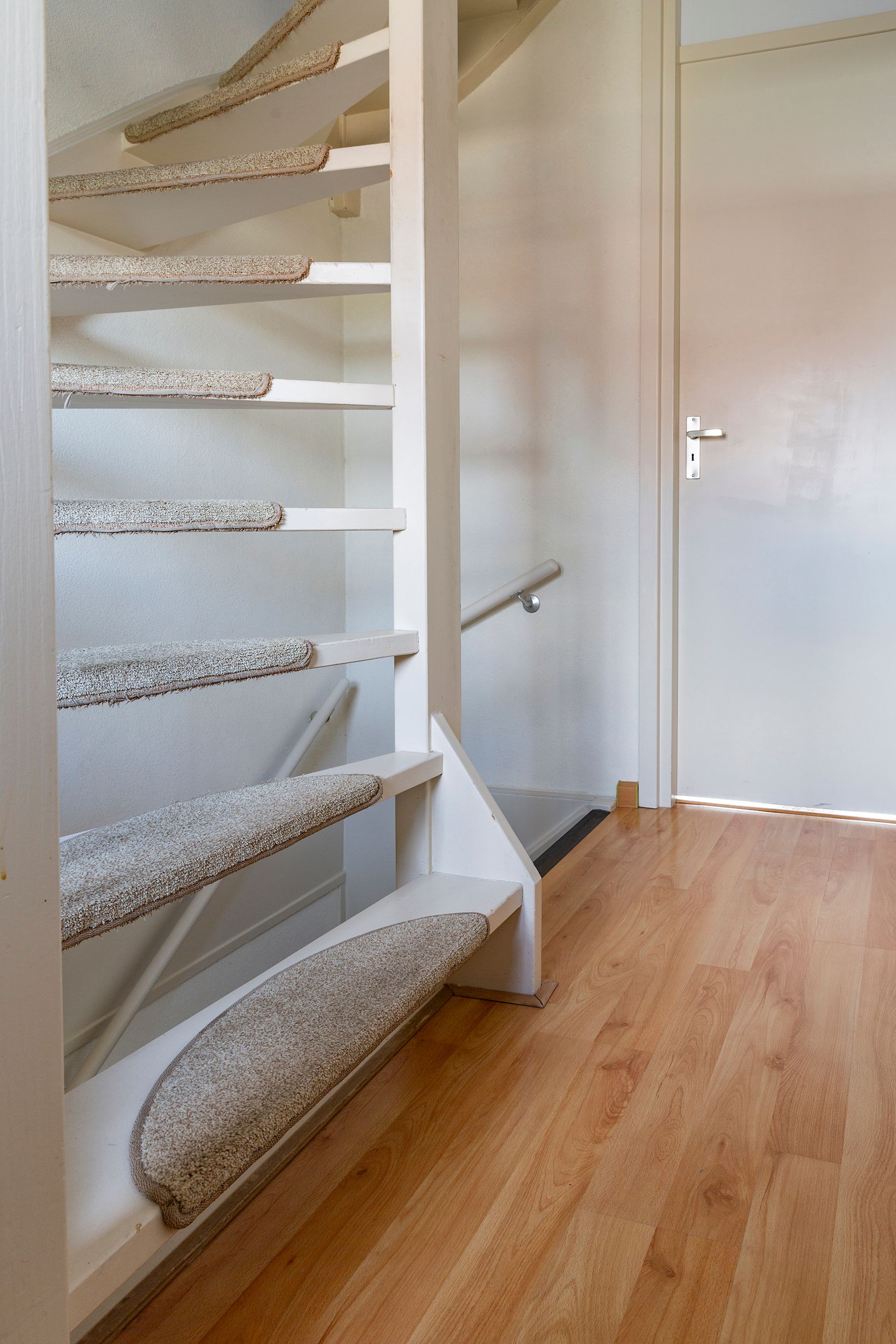 Photo 30 of Wasbloem 8