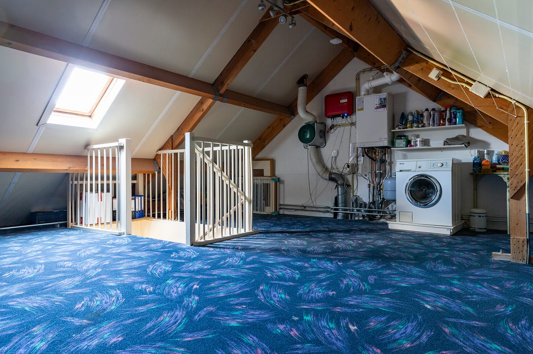 Photo 31 of Wasbloem 8