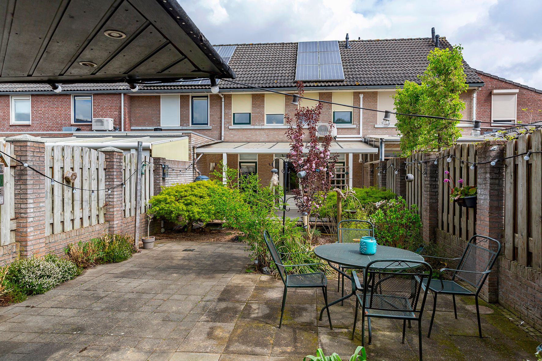 Photo 33 of Wasbloem 8