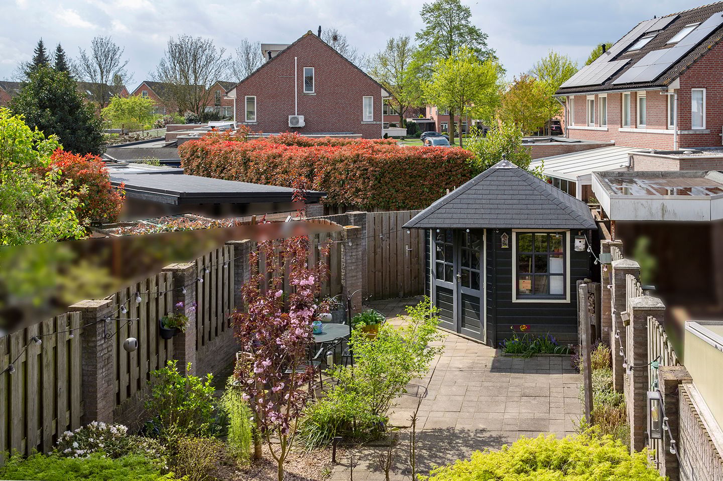 Photo 34 of Wasbloem 8