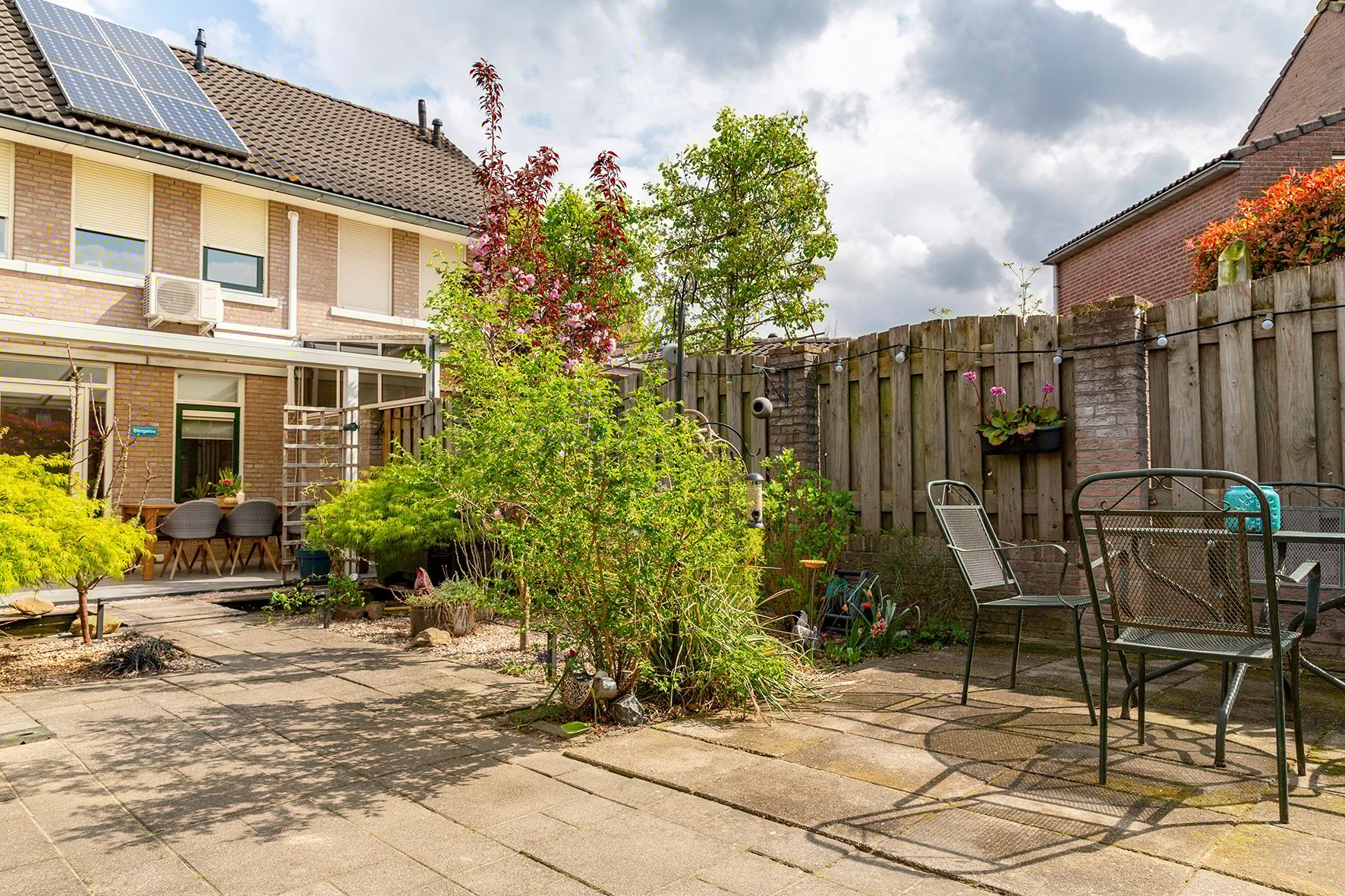 Photo 36 of Wasbloem 8