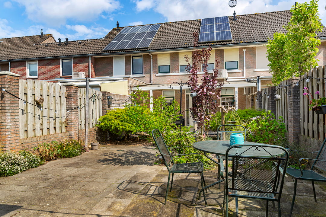 Photo 37 of Wasbloem 8