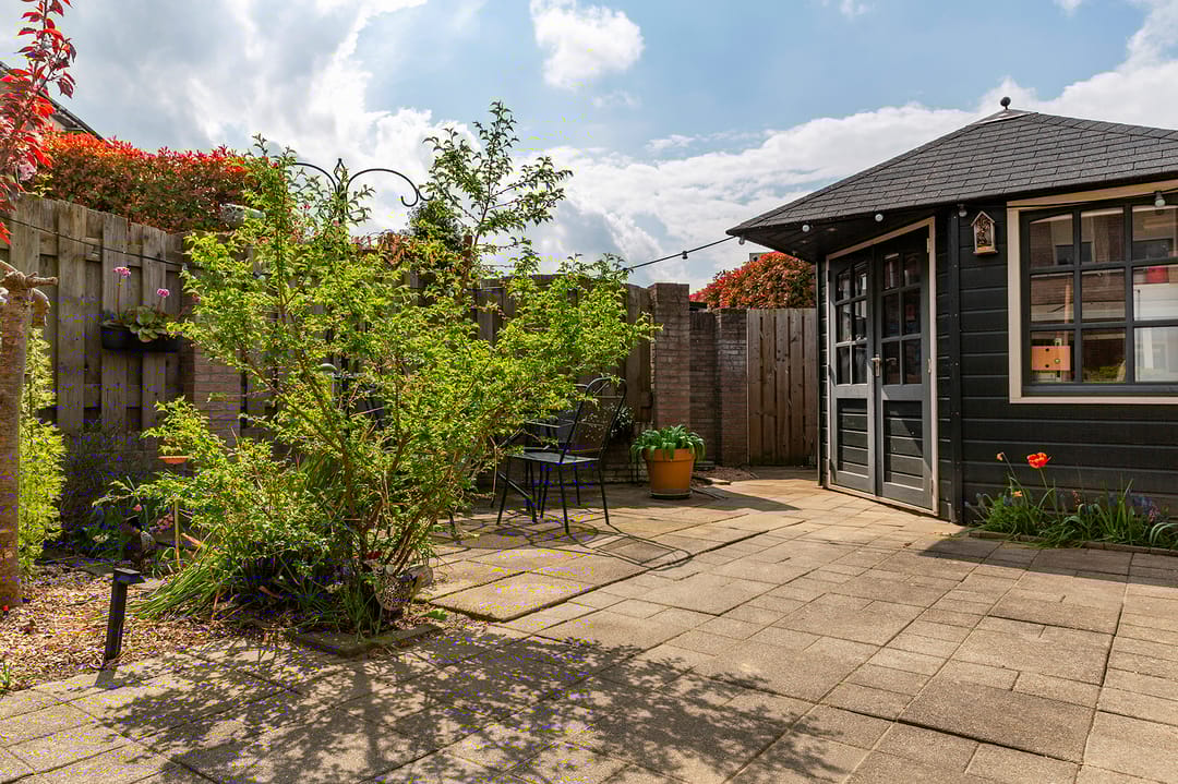 Photo 38 of Wasbloem 8