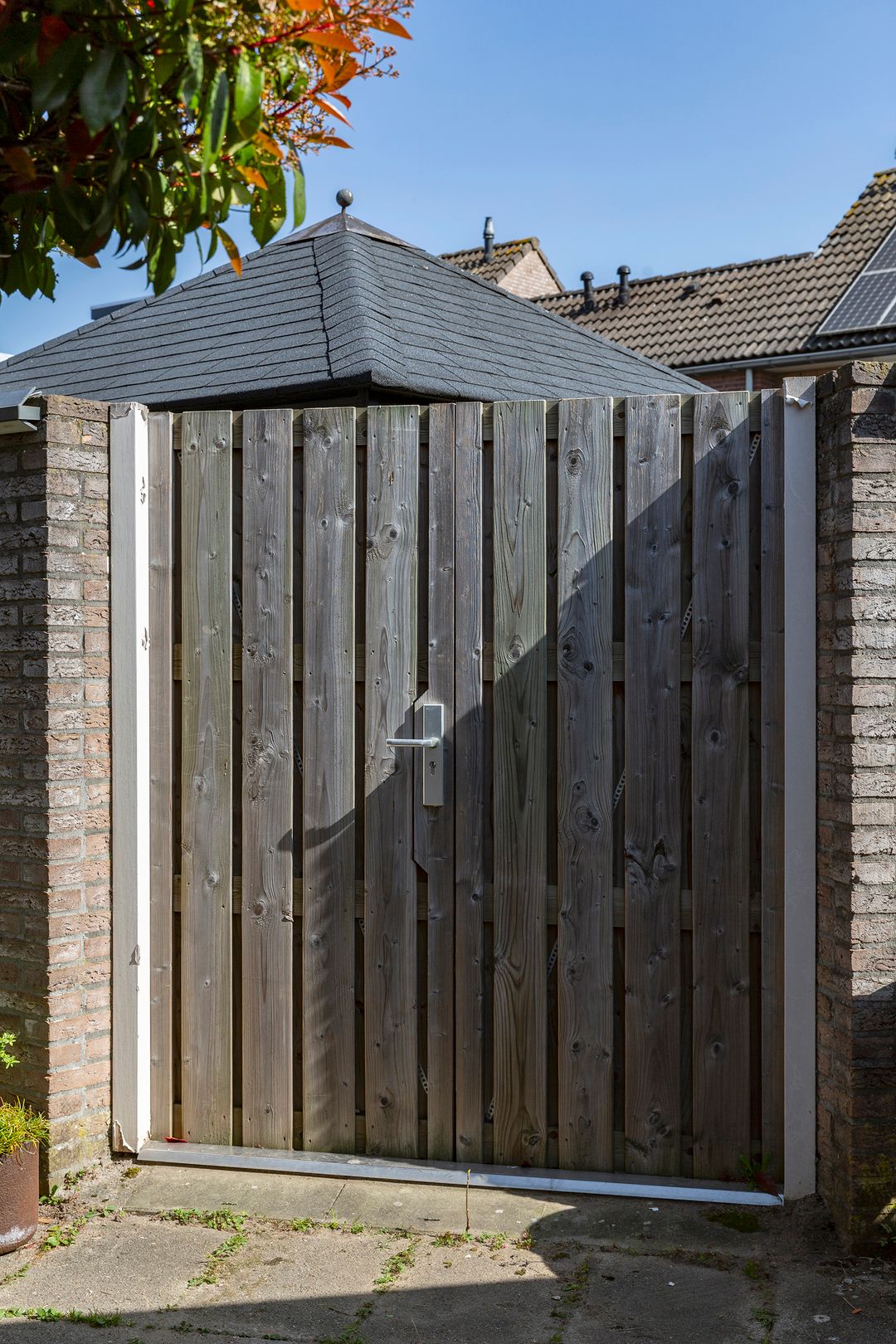 Photo 43 of Wasbloem 8