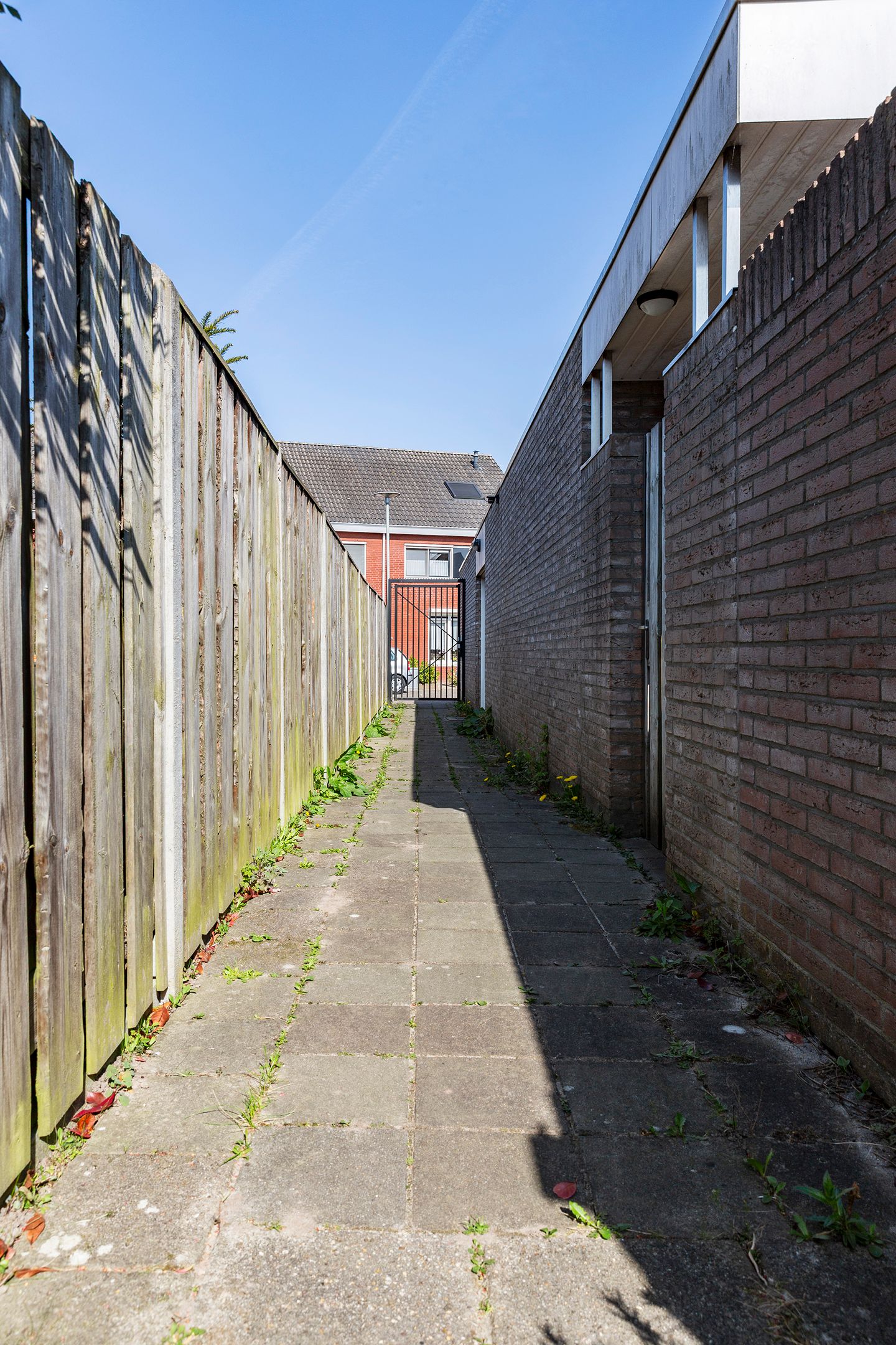 Photo 44 of Wasbloem 8