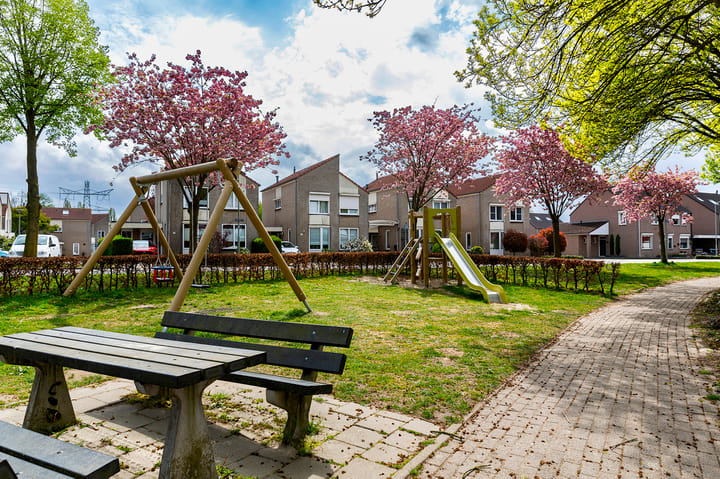 Foto 45 van Wasbloem 8