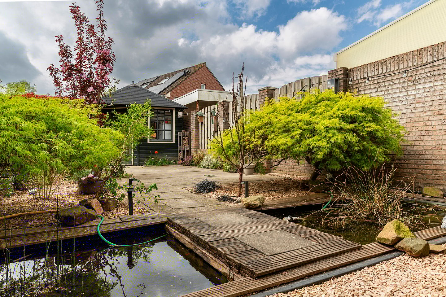 Photo 35 of Wasbloem 8