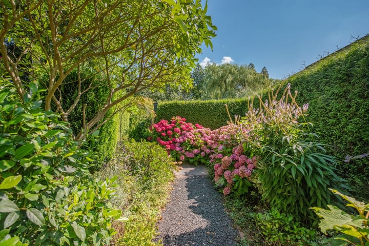 Foto 66 van Molenmeesterstraat 20