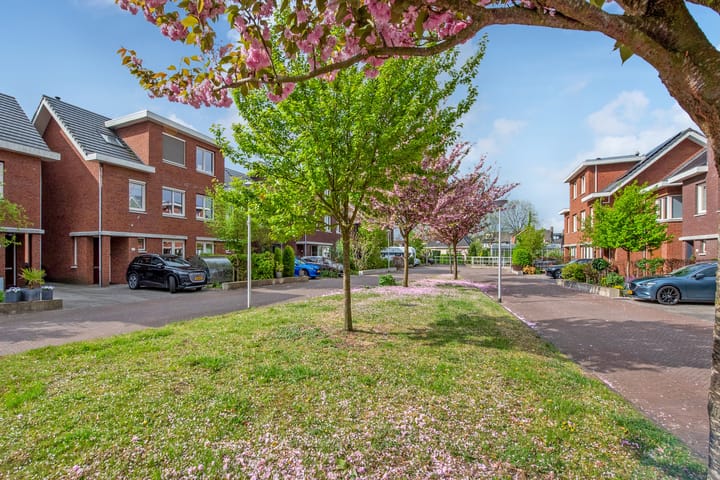 Foto 5 van Druivenmuur 37