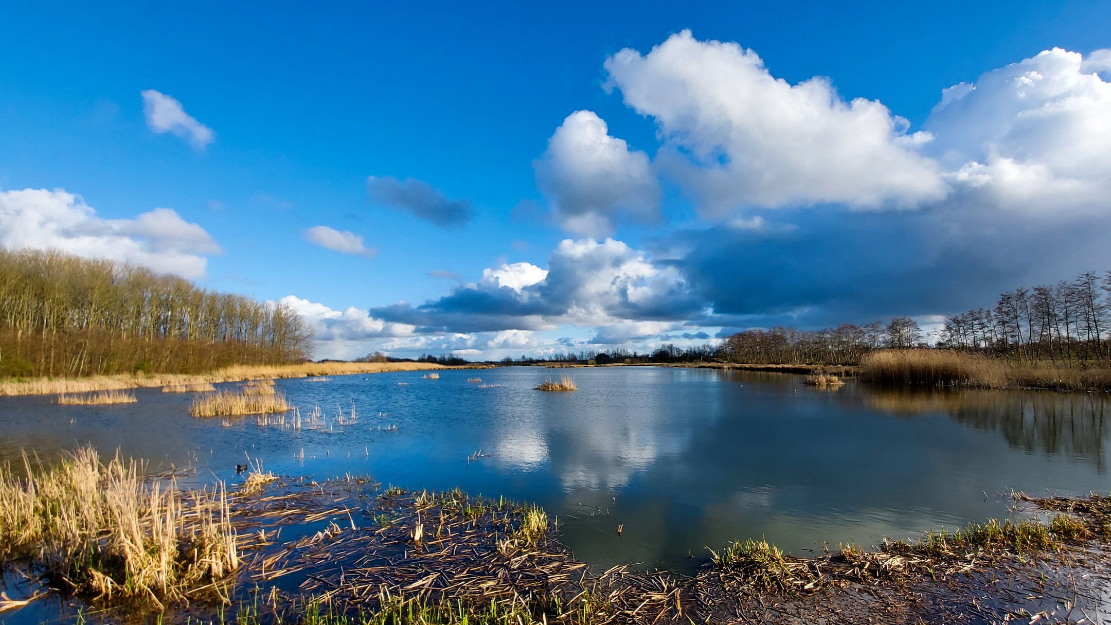 Foto 3 van Veldmansweg 9-A