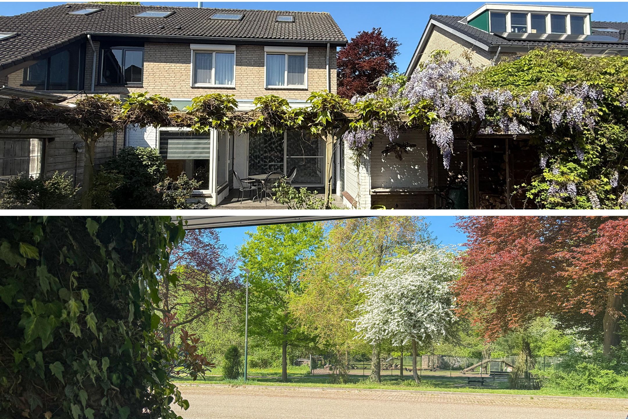 Photo 3 of Kornoeljelaan 42