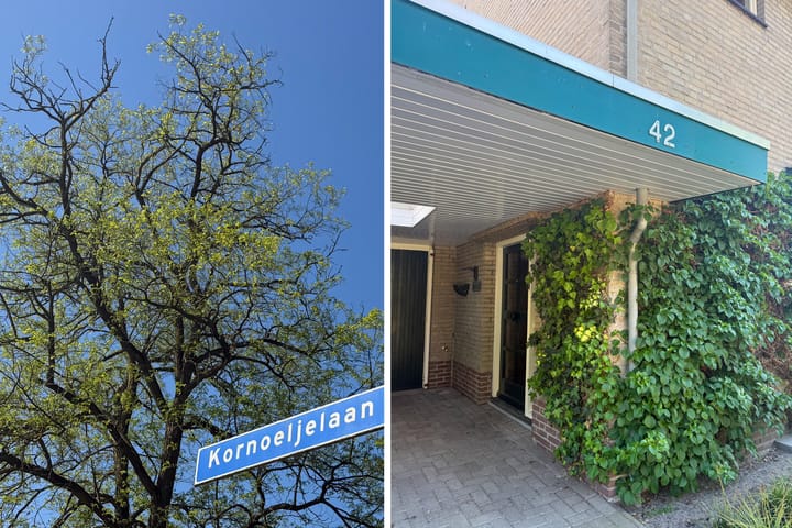 Foto 4 van Kornoeljelaan 42